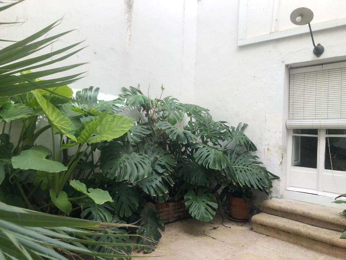 Apartamentos Tukasa Vintage Caces Kültér fotó
